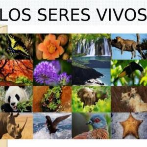 SERES VIVOS