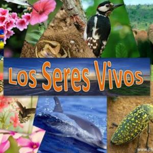Jugando con los Seres Vivos