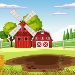 Farm animals, let's play!!