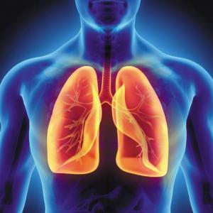 Imagen de portada del videojuego educativo: Juegos del Sistema Respiratorio, de la temática Biología