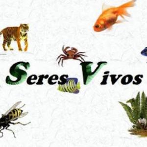 aprende sobre los seres vivos