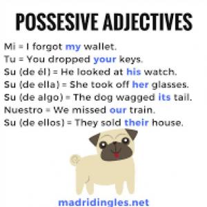 POSSESIVE ADJETIVES 