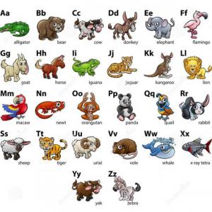Imagen de portada del videojuego educativo: juego de memoria con animales, de la temática Biología
