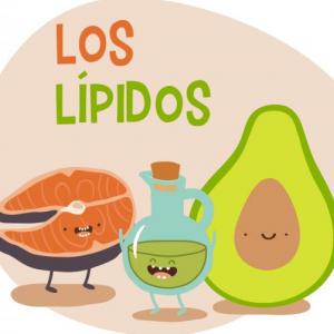 lipidos