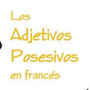 Les adjectifs possessifs