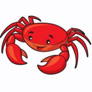 Sea animals & rooms of the house