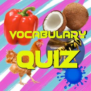 Vocabulary Quiz!