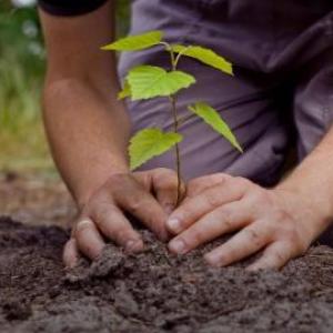 cuidado de medio ambiente