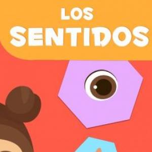 los sentidos