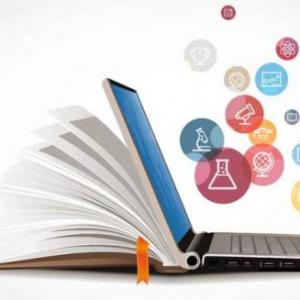 Trivia de las Organizaciones