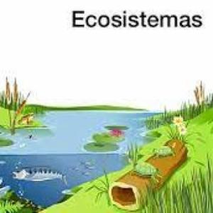 Ecosistemas