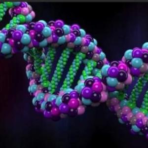 Bioquimica- Ácidos nucleicos