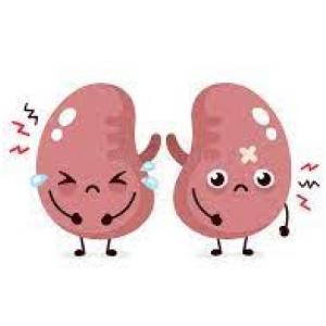 ¿Qué sabes de Insuficiencia Renal
