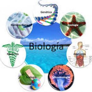Ramas de la biología 
