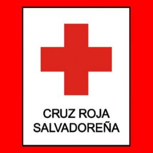 ENFOQUES Y PRINCIPIOS DE SMAPS