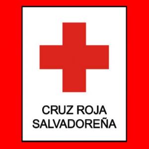 TÉCNICAS DE INTERVENCIÓN 