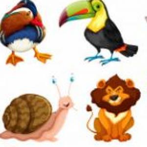 Los Animales