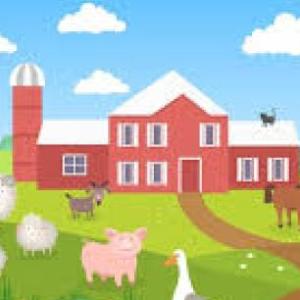 A JUGAR CON LOS ANIMALES
