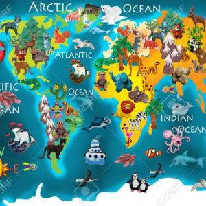 EL MARAVILLOSO MUNDO ANIMAL AMERICANO.