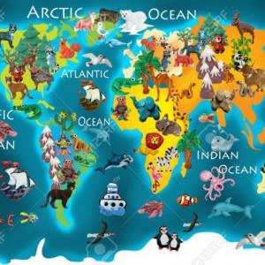 EL MARAVILLOSO MUNDO ANIMAL
