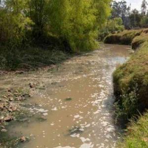 descubre las palabras  sobre el rio Bogotá