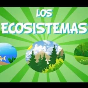 Relaciones de los ecosistemas