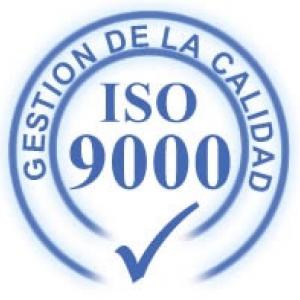 Términos de la ISO 9000 