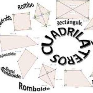 Los cuadriláteros
