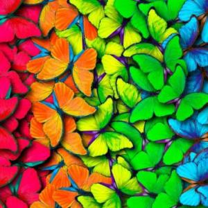 Imagen de portada del videojuego educativo: Los colores y sus mezclas, de la temática Artes