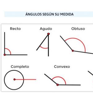 los Angulo