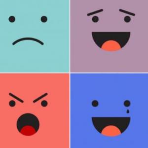 LAS EMOCIONES
