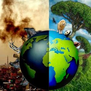 LA CONTAMINACIÓN