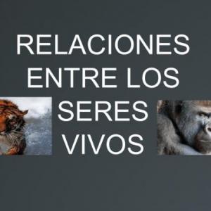 Relacionando