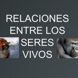 Relacionando