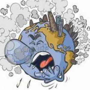 Los problemas ambientales