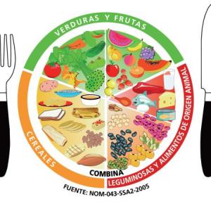 Los alimentos que consumimos