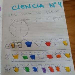 Imagen de portada del videojuego educativo: CIENCIA EN CASA, PONIENDO EN JUEGO LOS CONOCIMIENTOS, de la temática Ciencias