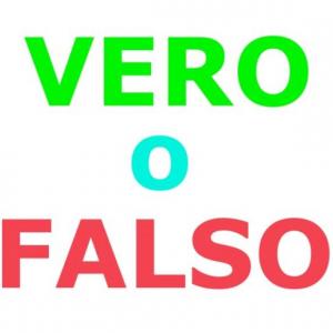 Portada del juego VERO O FALSO – Idiomas