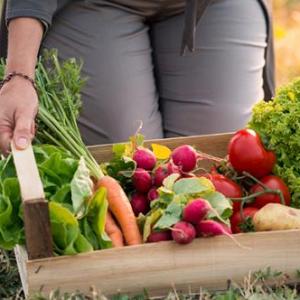 Alimentos sustentables