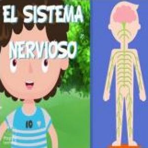 Imagen de portada del videojuego educativo: TRIVIA SISTEMA NERVIOSO, de la temática Ciencias