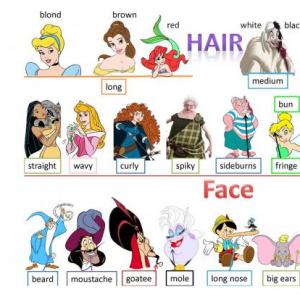Imagen de portada del videojuego educativo: Appearence adjectives, de la temática Idiomas