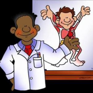 SISTEMA LOCOMOTOR