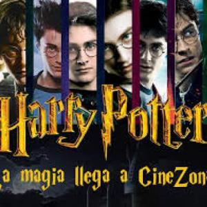 Imagen de portada del videojuego educativo: Juego de memoria de Harry Potter , de la temática Artes