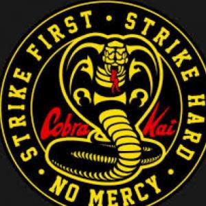Trivia de cobra kai