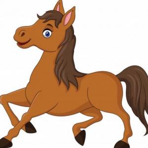 Lección caballo