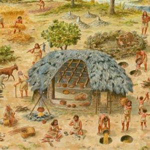 Cazadores y agricultores