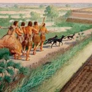 Trivia de la secuencia de historia