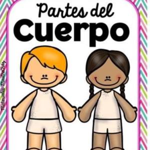PARTES DEL CUERPO