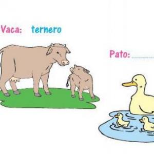 Animales de mayores y pequeños