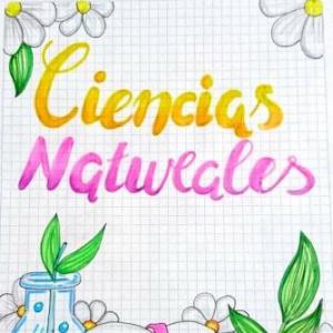CUIDADO DEL CUERPOR